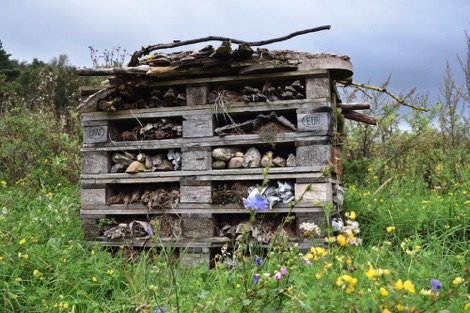 Insect hotel, Scandinavian Wildlife Park, Denmark